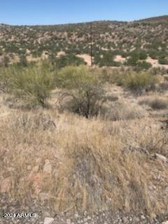 0 Mountain Side Loop, 12