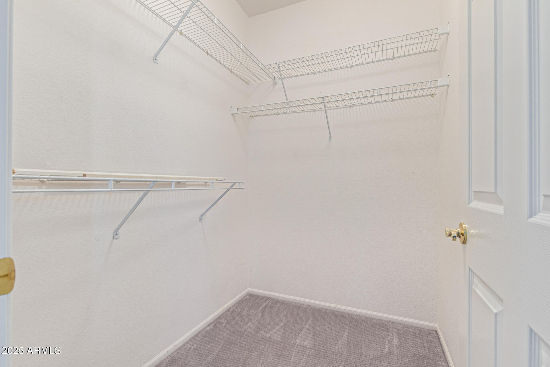 21313 N LIMOUSINE Drive