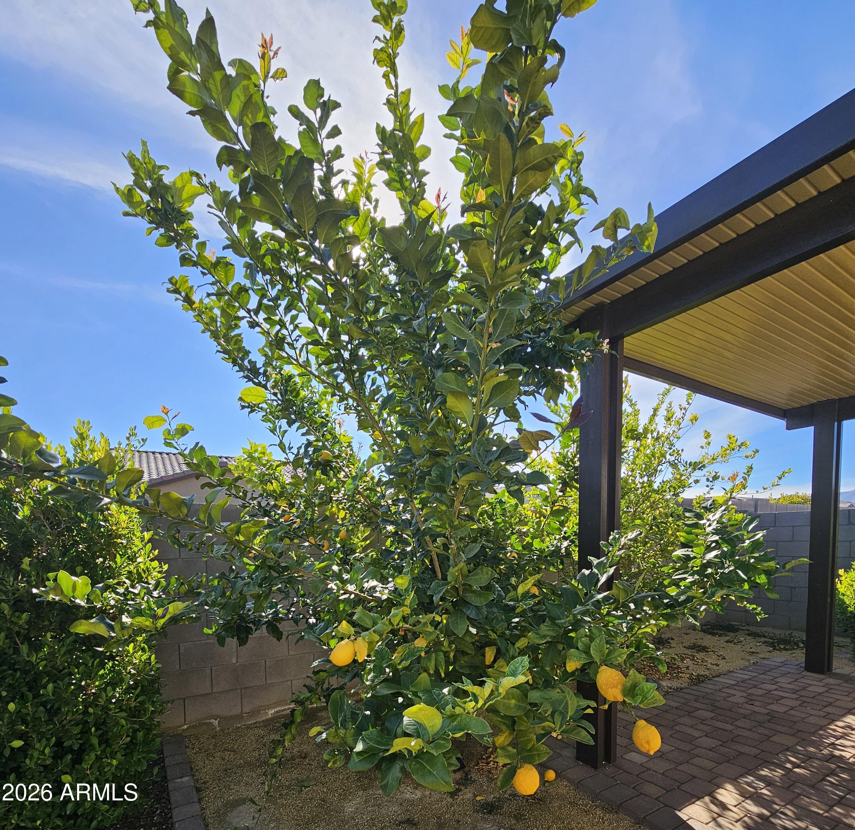 17269 W CORRINE Drive