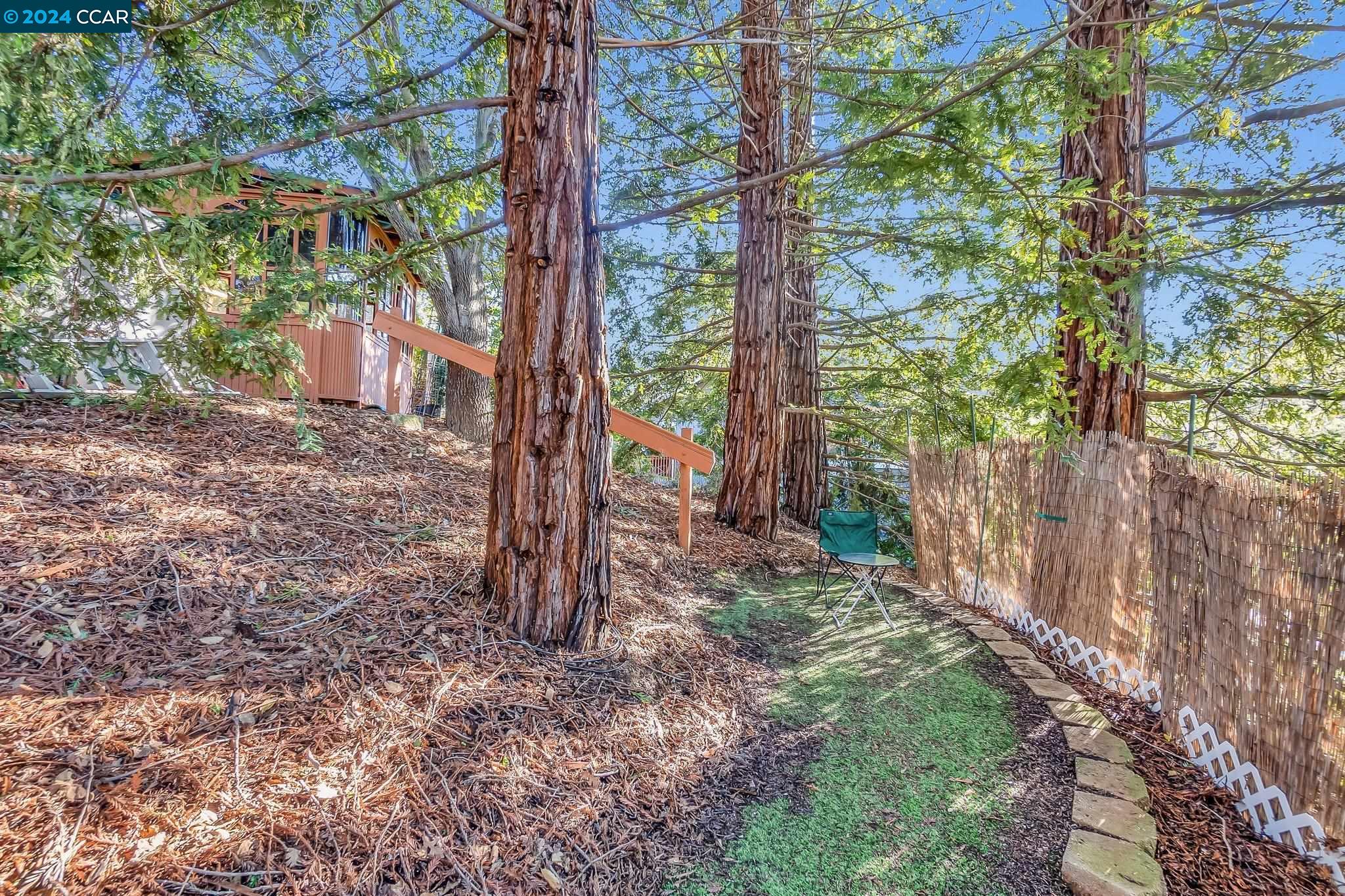 185 Donaleen Ct