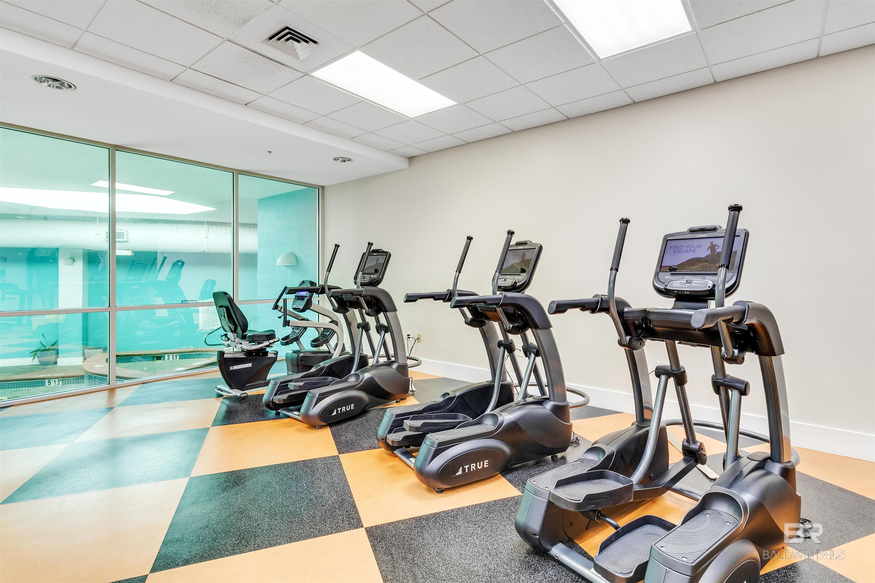 28105 Perdido Beach Boulevard C-1207