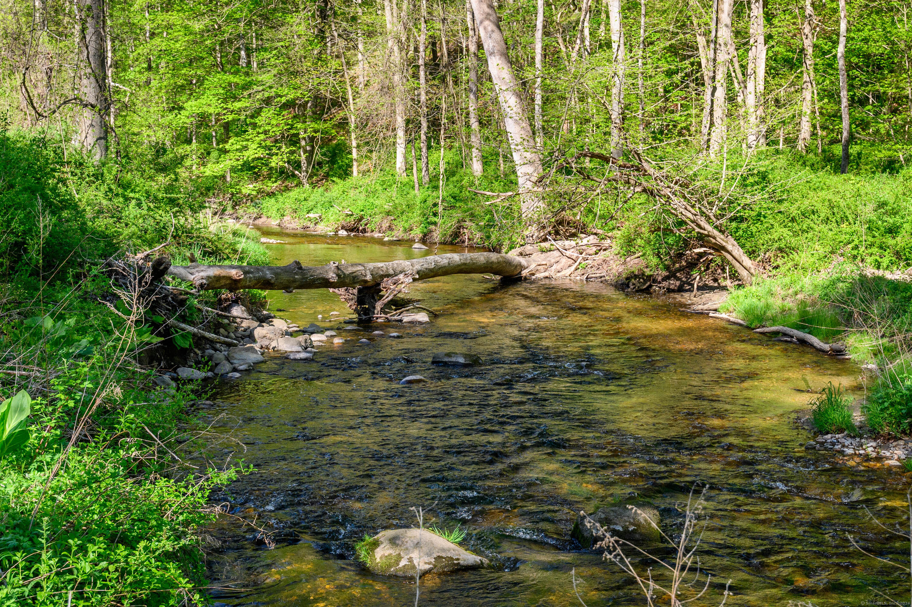 51 Pond Brook Road