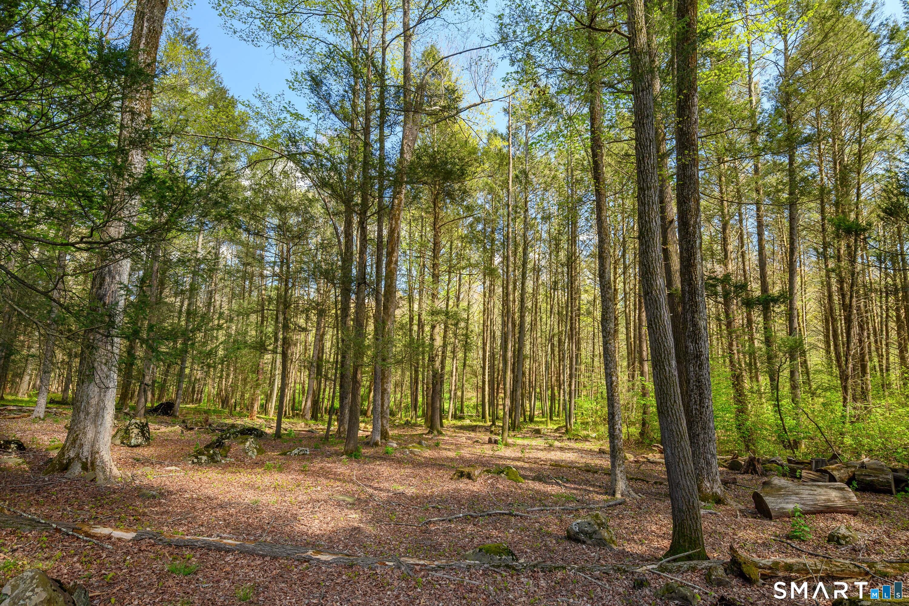 202 Grasslands Road
