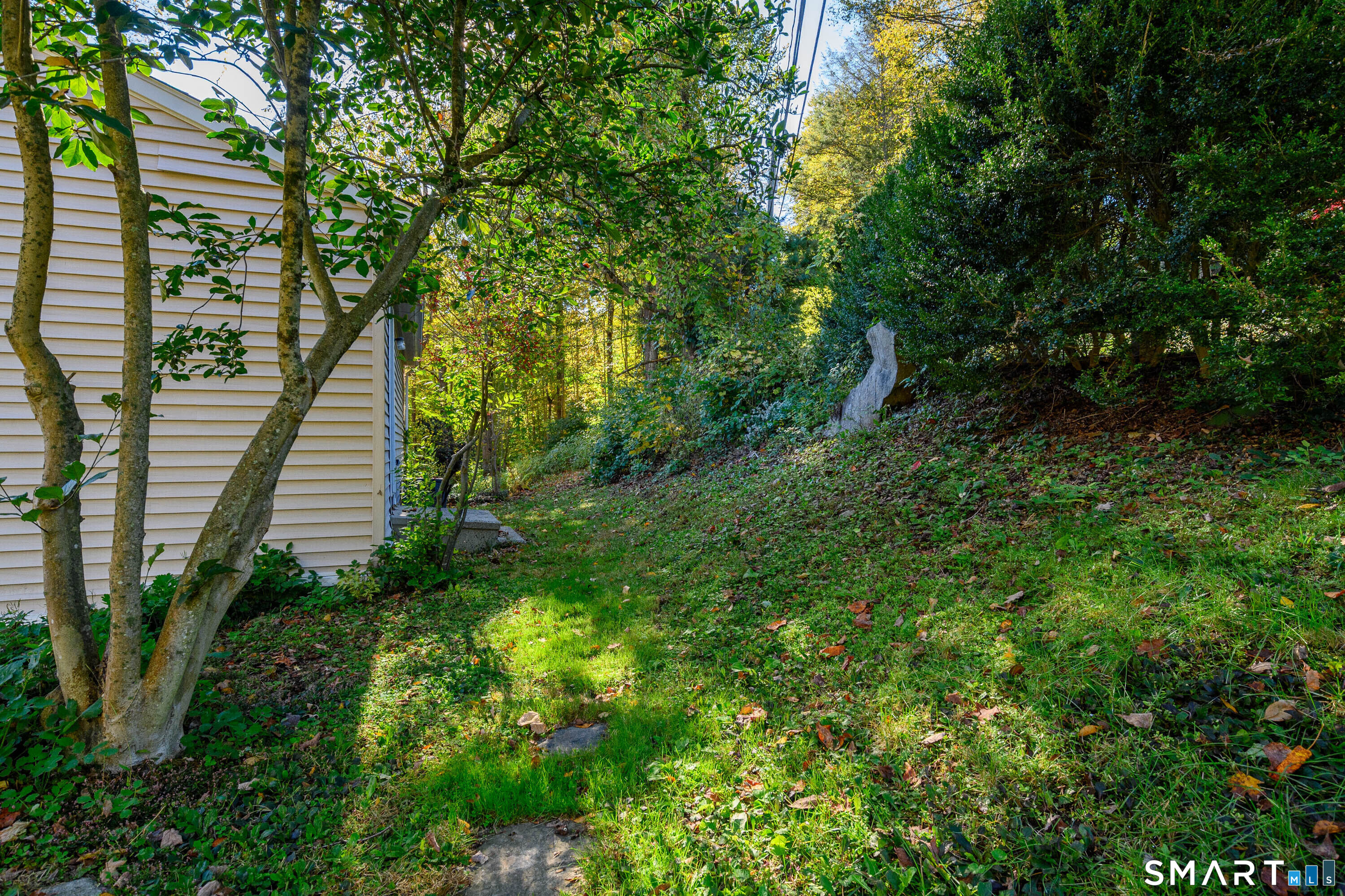 54 Farview Drive