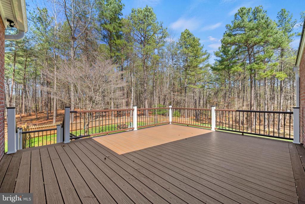 15130 Deep Spring Dr