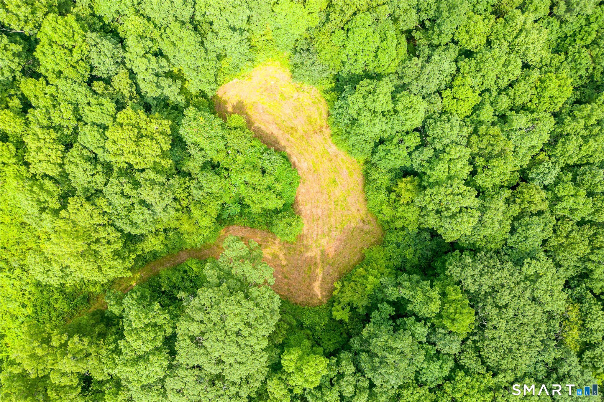 Aerial view of a wooded property with a curved clearing surrounded by dense trees.