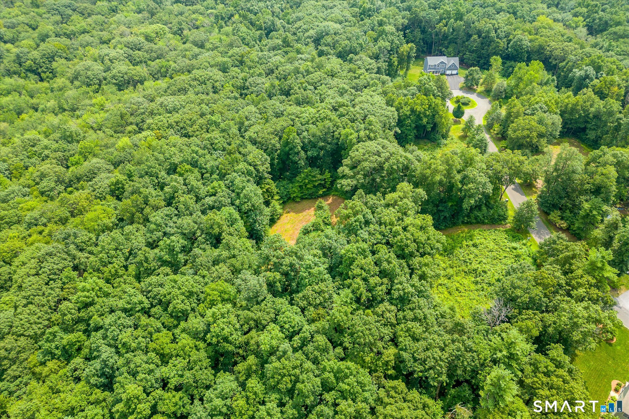 Aerial view of a wooded property with a house, curved driveway, and clearing.