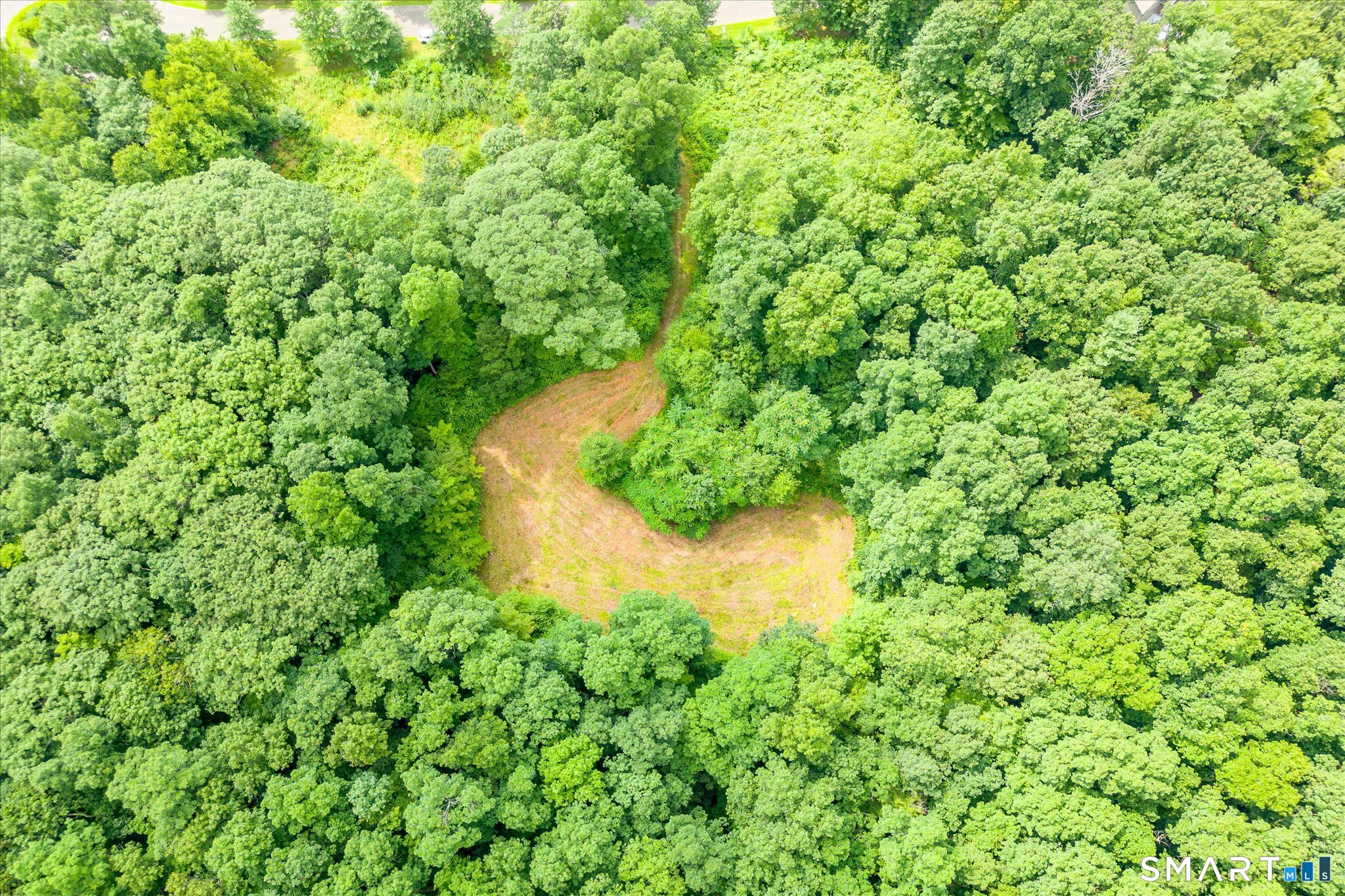 Aerial view of a grassy clearing and winding path surrounded by dense green woodland.