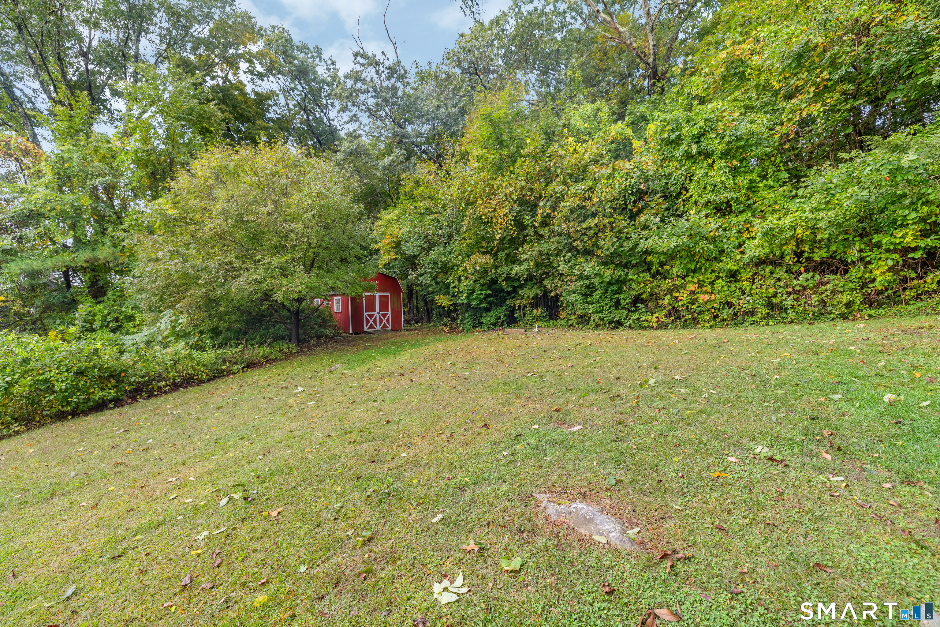 Grassy backyard bordered by trees, with a small red shed at the rear.