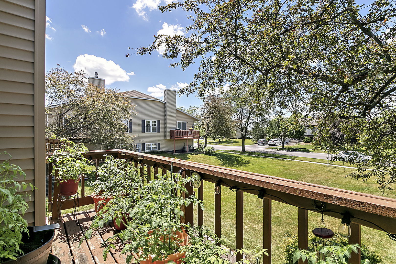 19761 S Edinburgh Lane