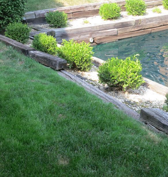 13613 Lamon Avenue Unit: 619