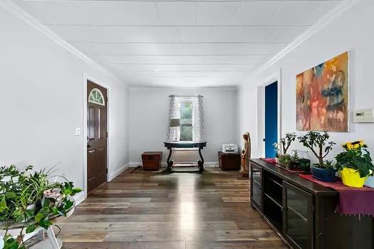 910 Institute Street