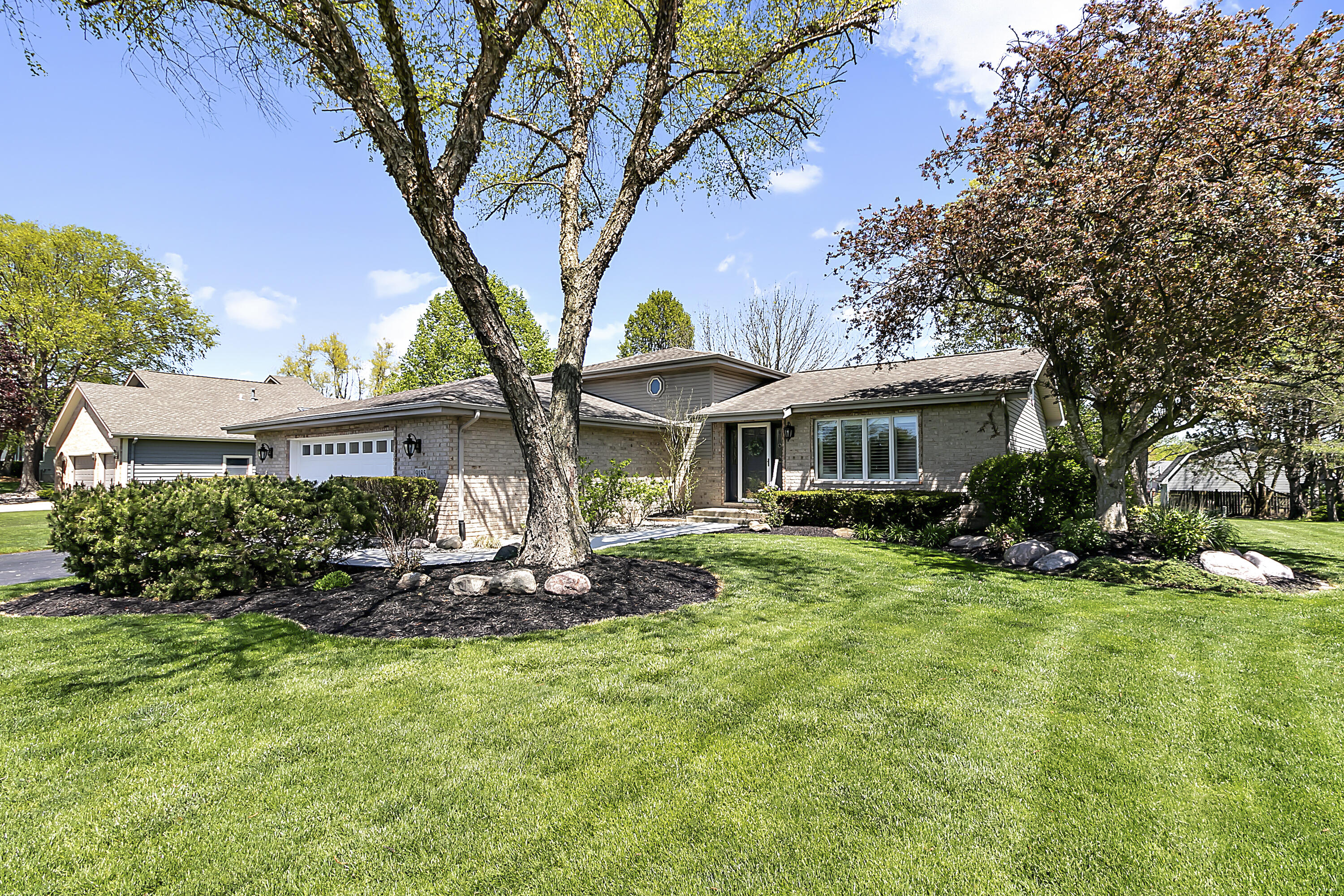 9185 Maplewood Street
