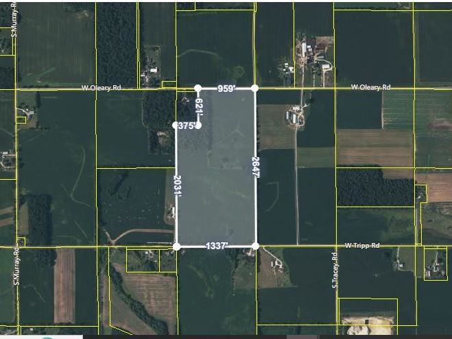 75.9 ac between O'Leary & Tripp