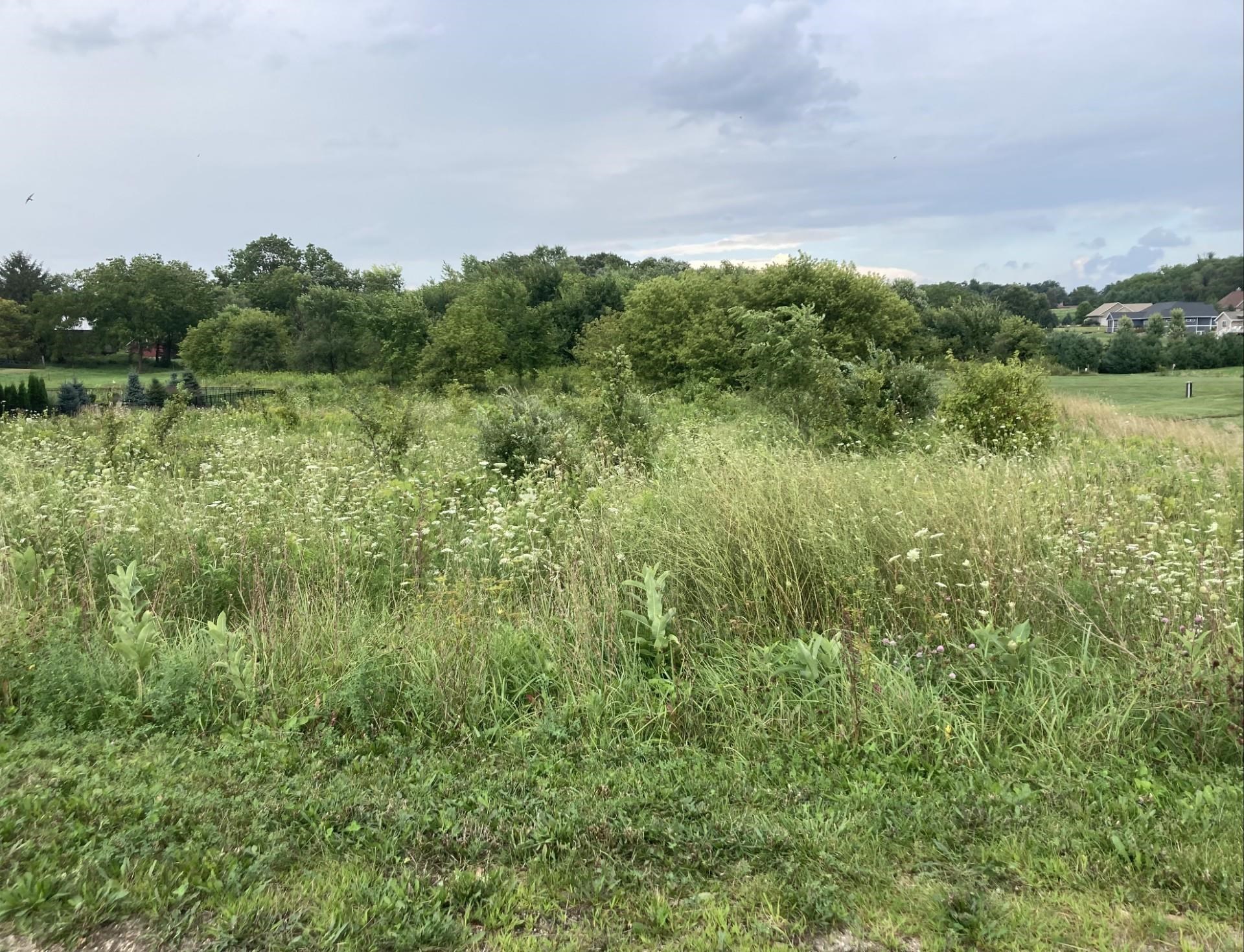Lot 17 N Zermatt Drive
