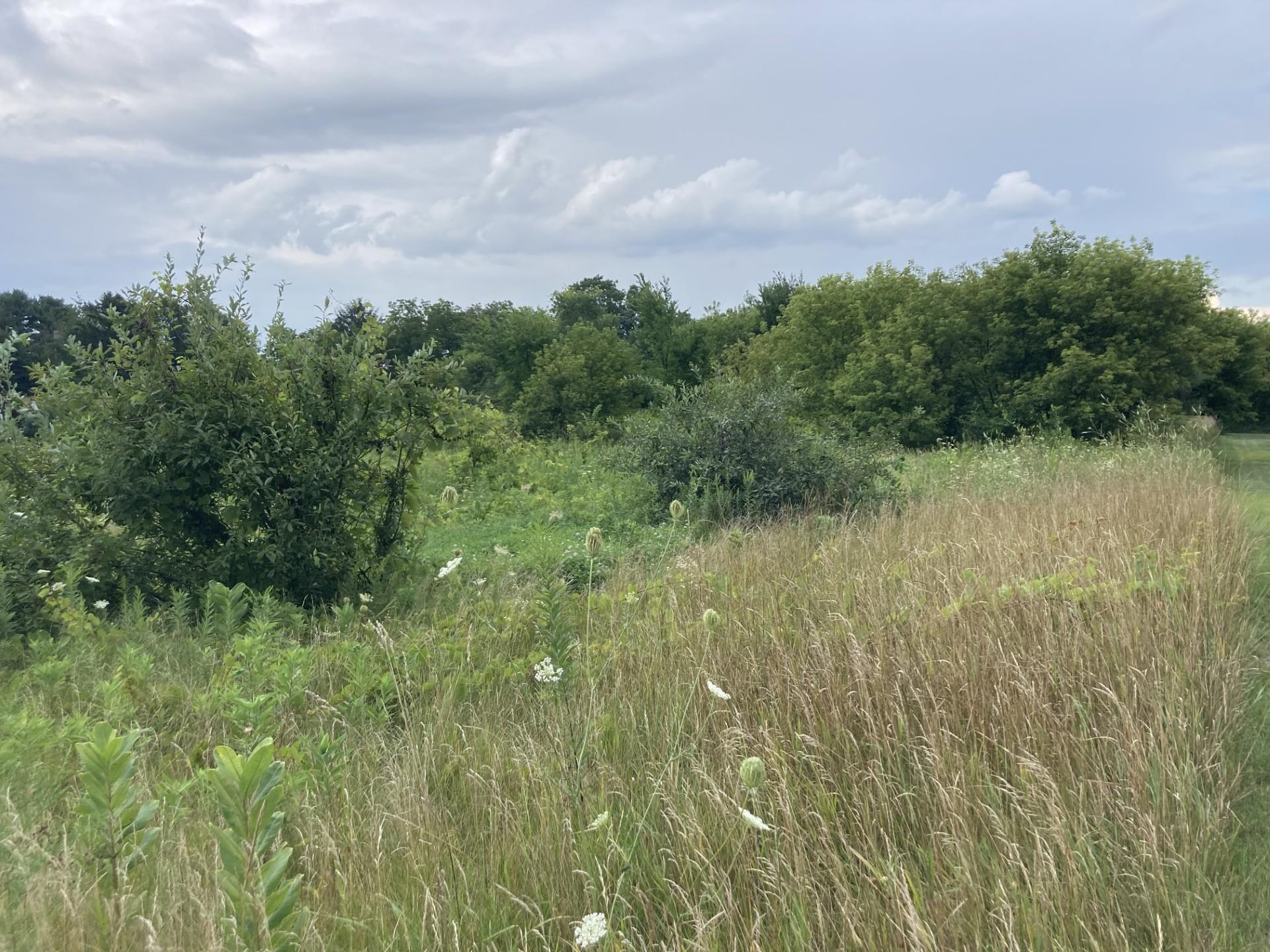 Lot 17 N Zermatt Drive
