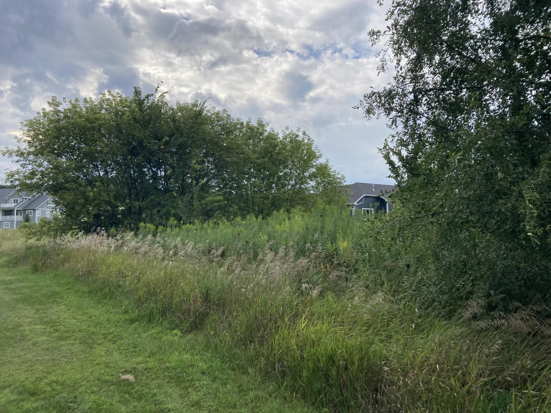 Lot 17 N Zermatt Drive