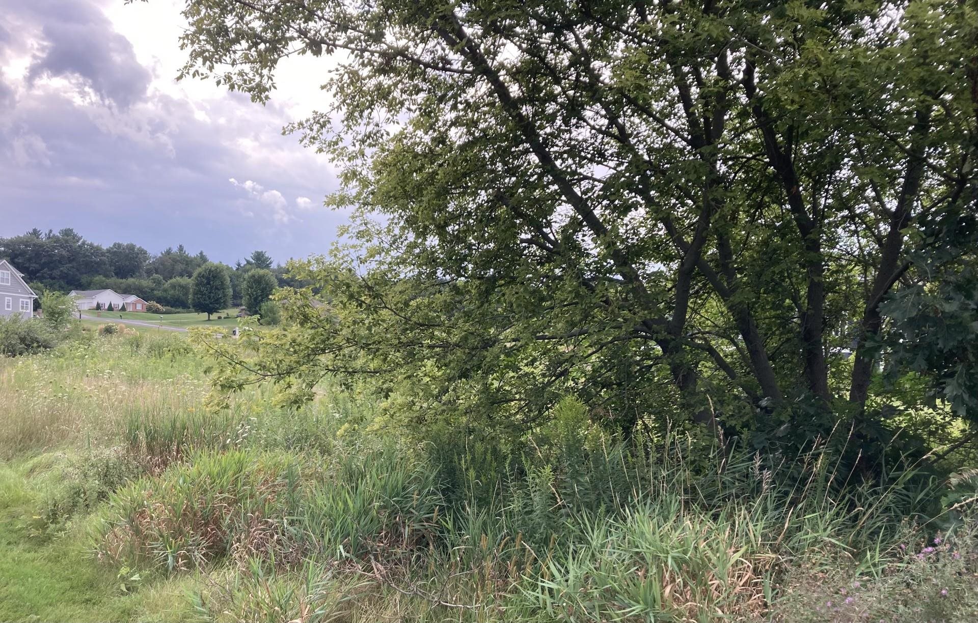 Lot 17 N Zermatt Drive