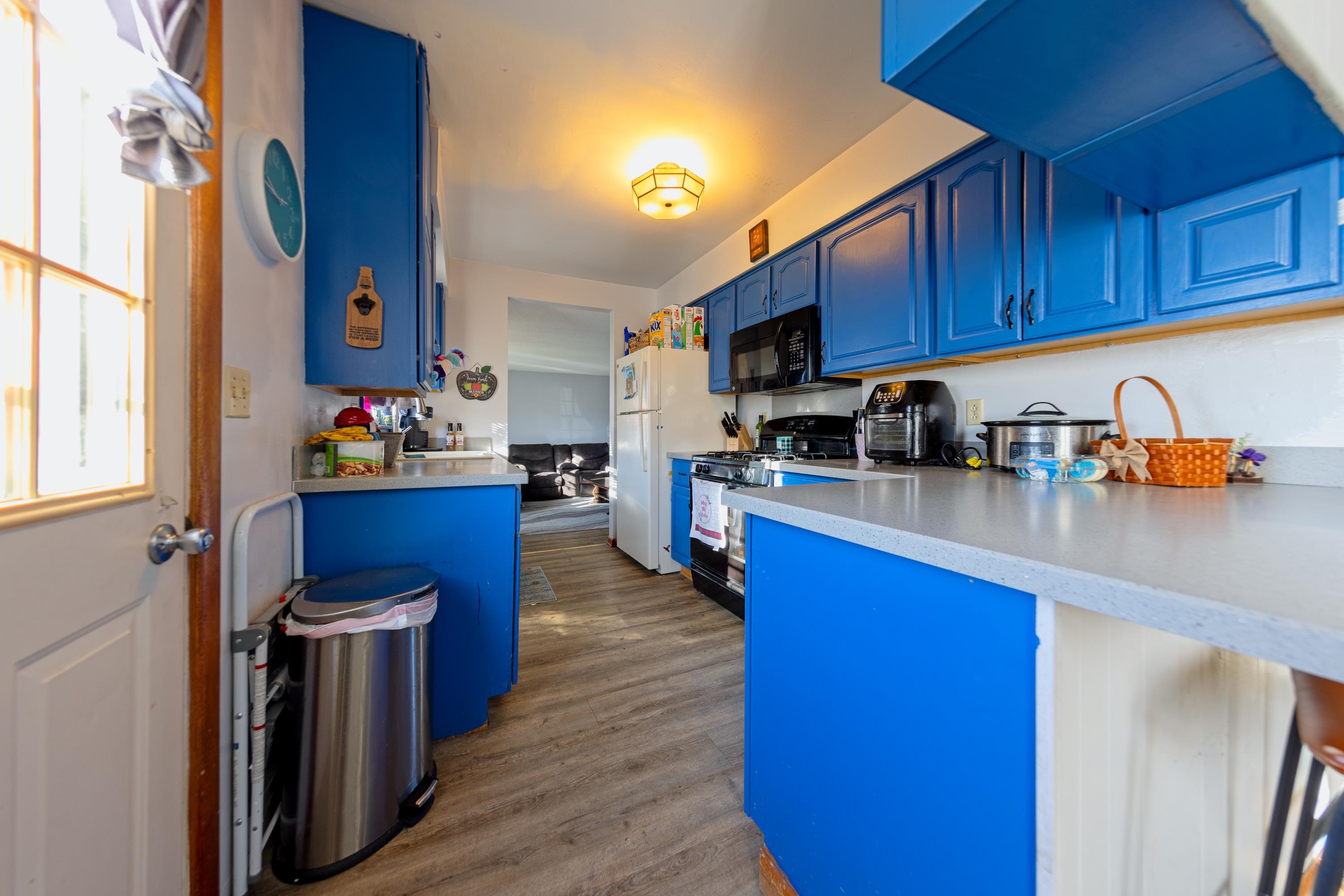 219 Roosevelt Avenue