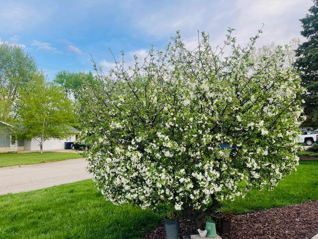 74 South Sumac Drive