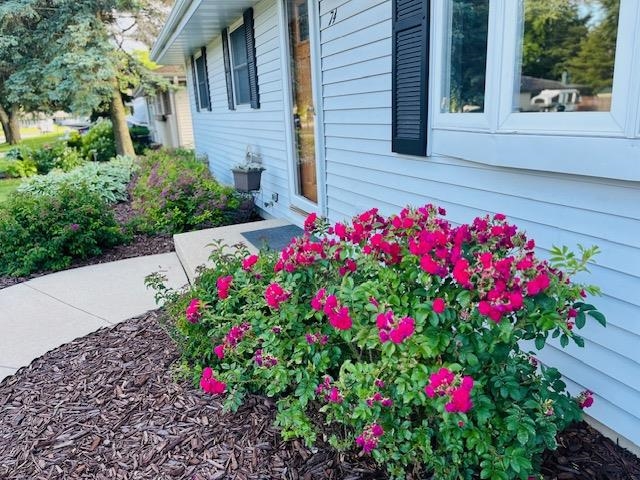 74 S Sumac Drive
