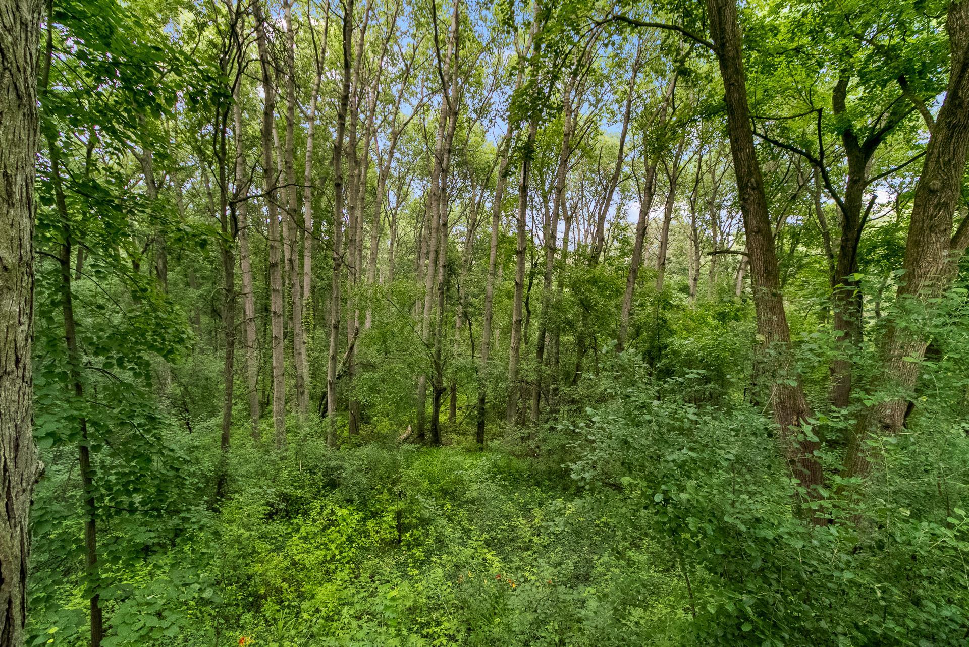 8414 N Bowers Lake Road