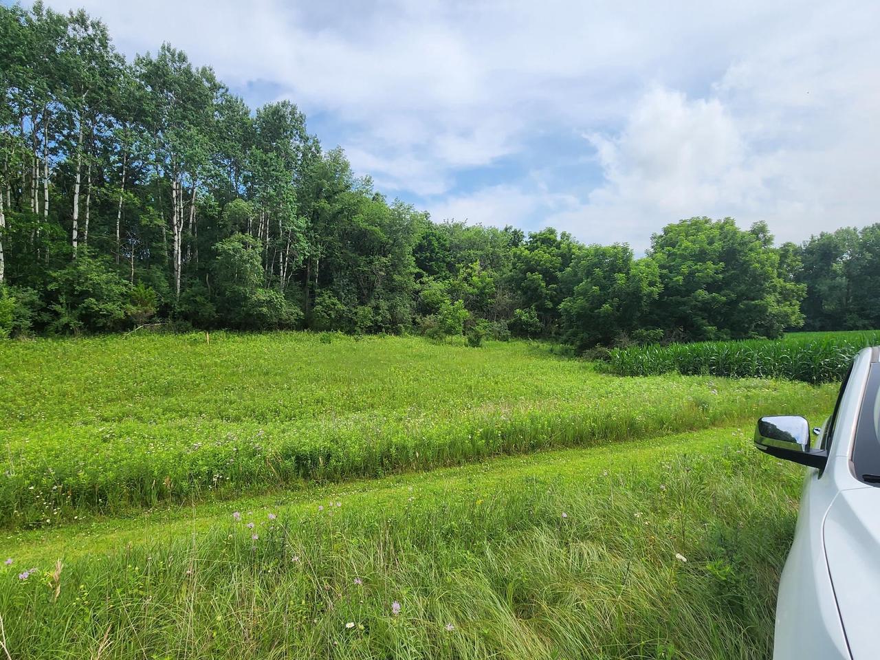 Lot 10/11 North Hillside Row