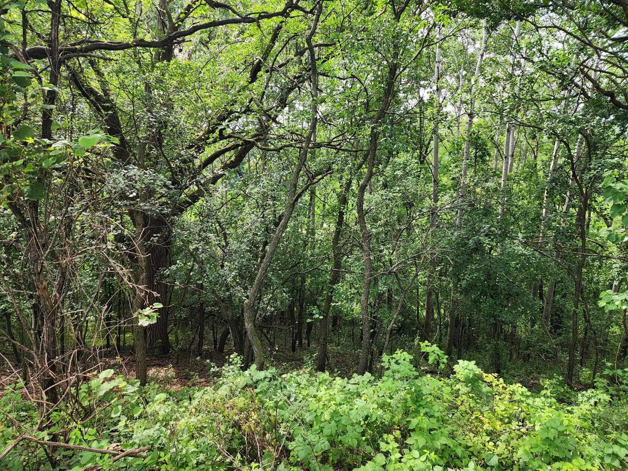 Lot 10/11 North Hillside Row