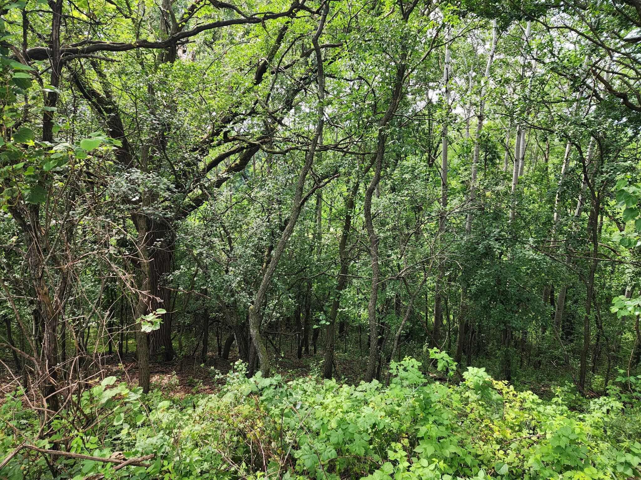 Lot 10/11 N Hillside Row