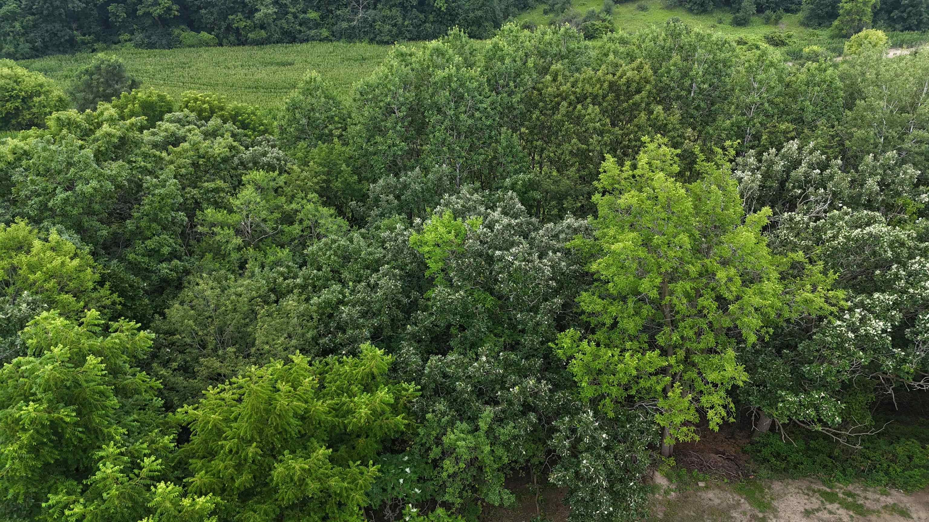 Lot 10/11 N Hillside Row