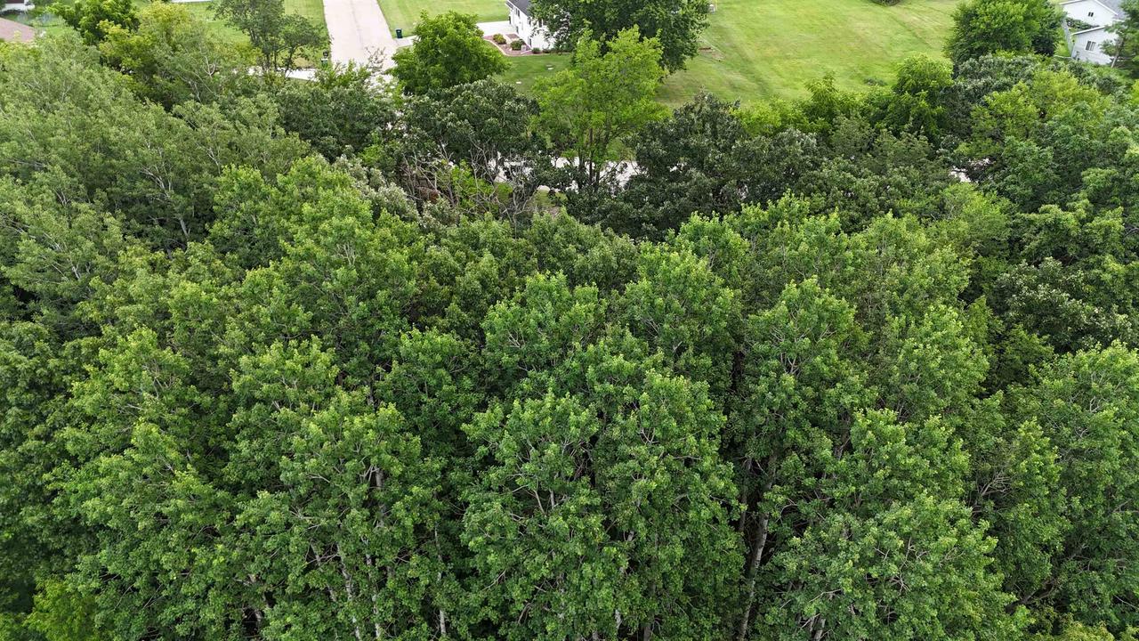 Lot 10/11 North Hillside Row