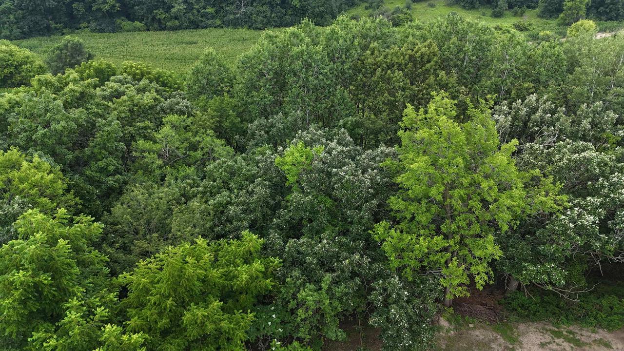 Lot 10/11 North Hillside Row