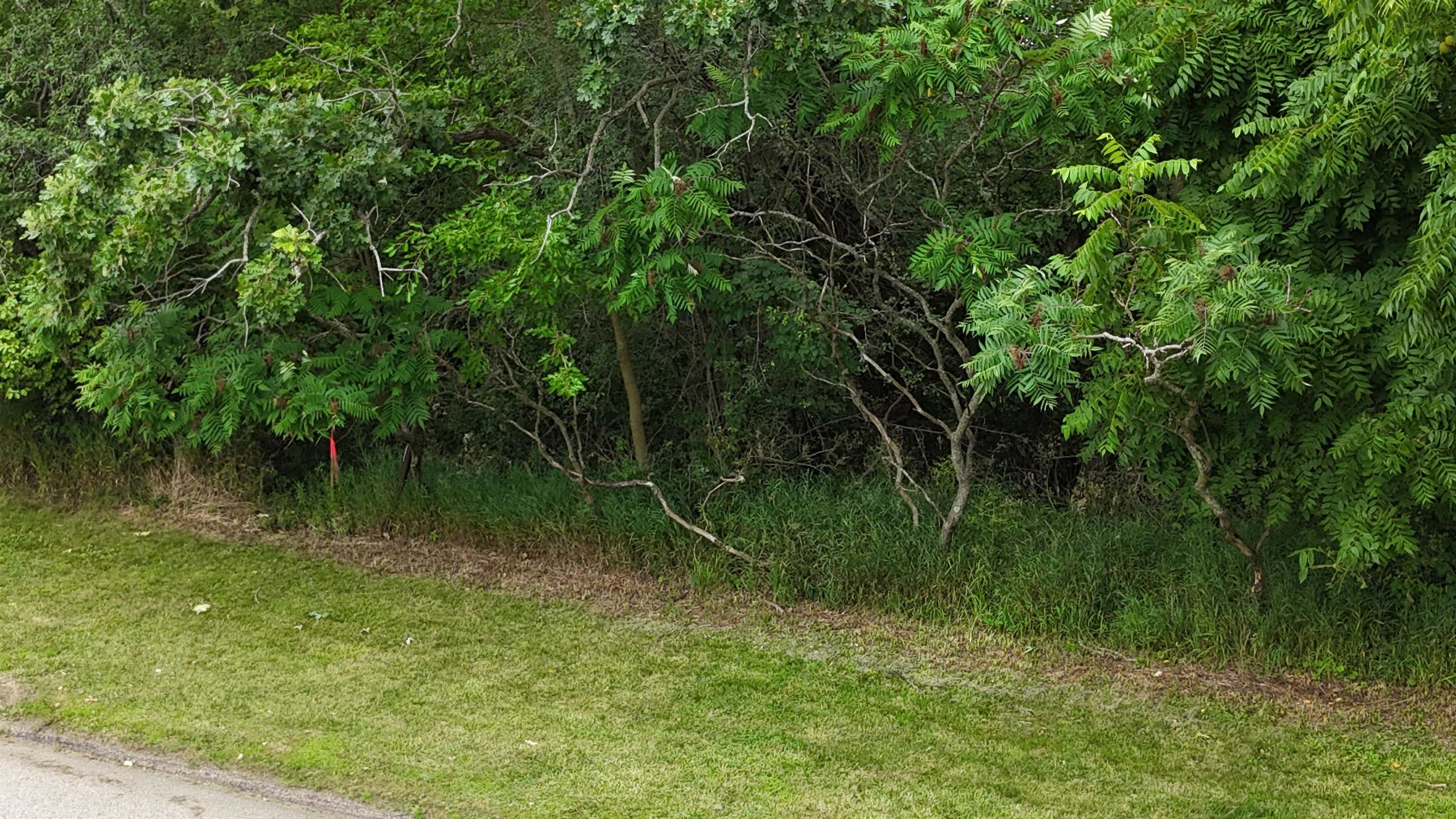 Lot 10/11 N Hillside Row