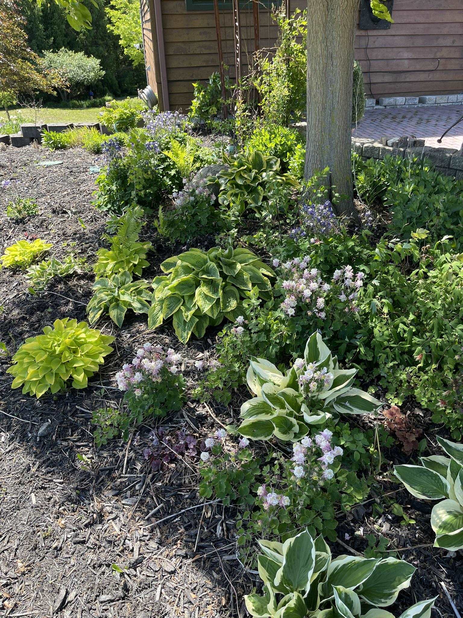 7089 W Stuart Road