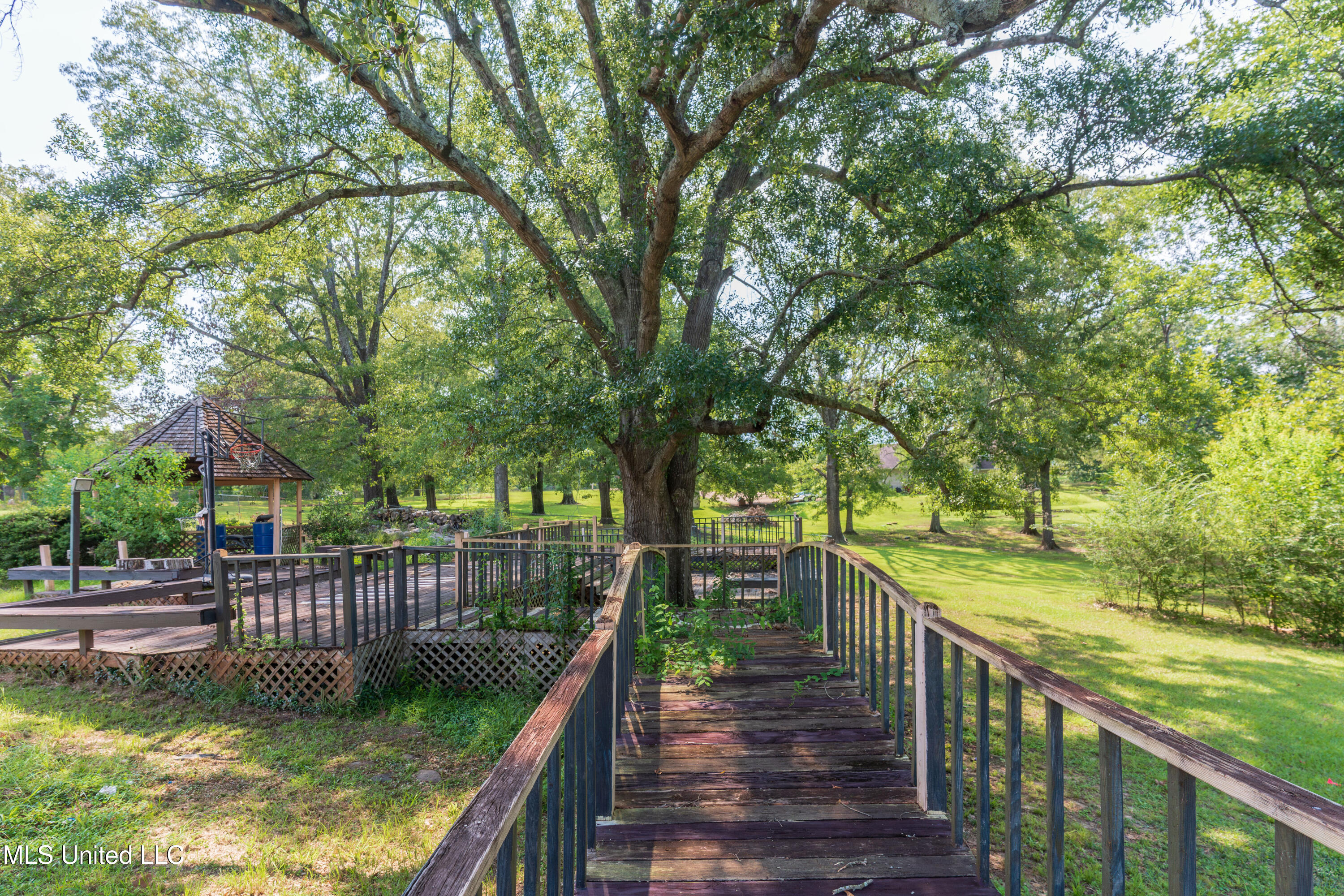 100 Green Oak Cove