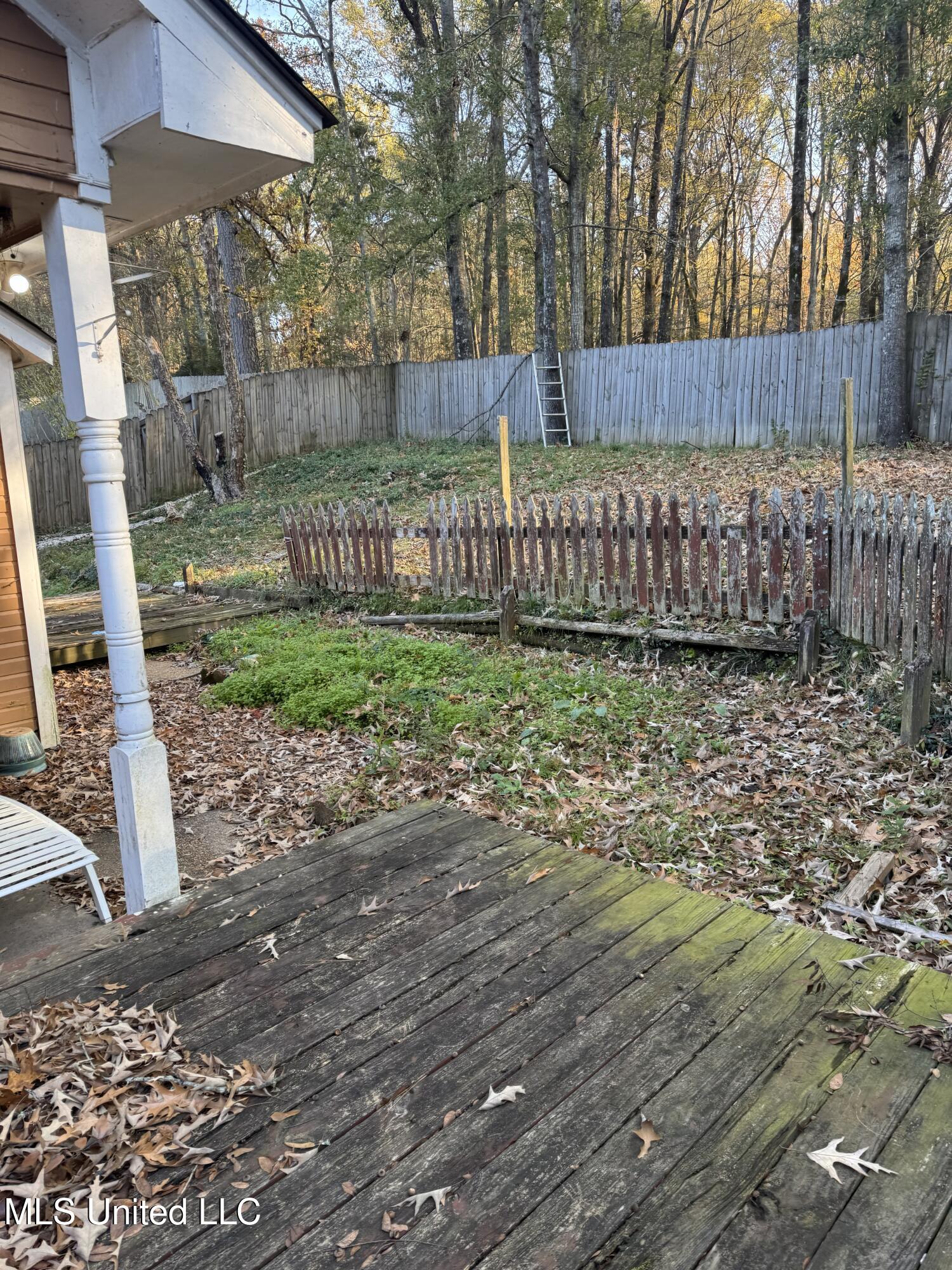 204 Lake Forest Lane