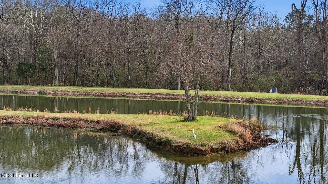 902 E College Street