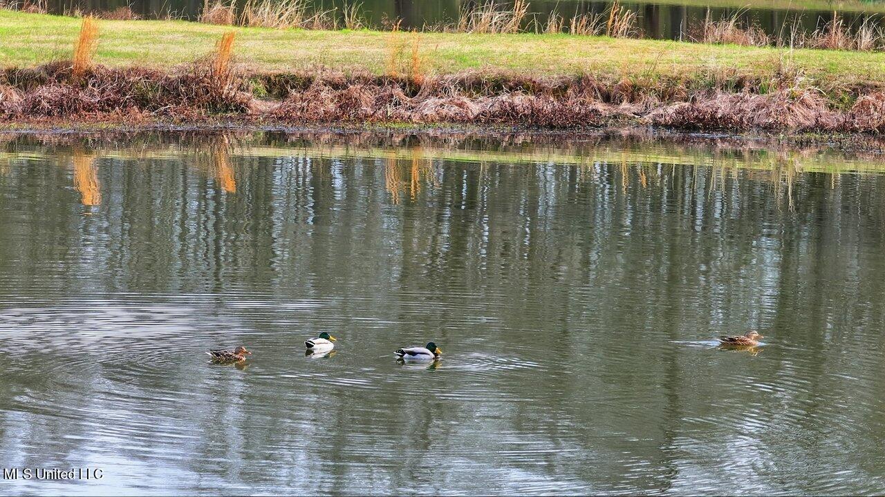 902 E College Street