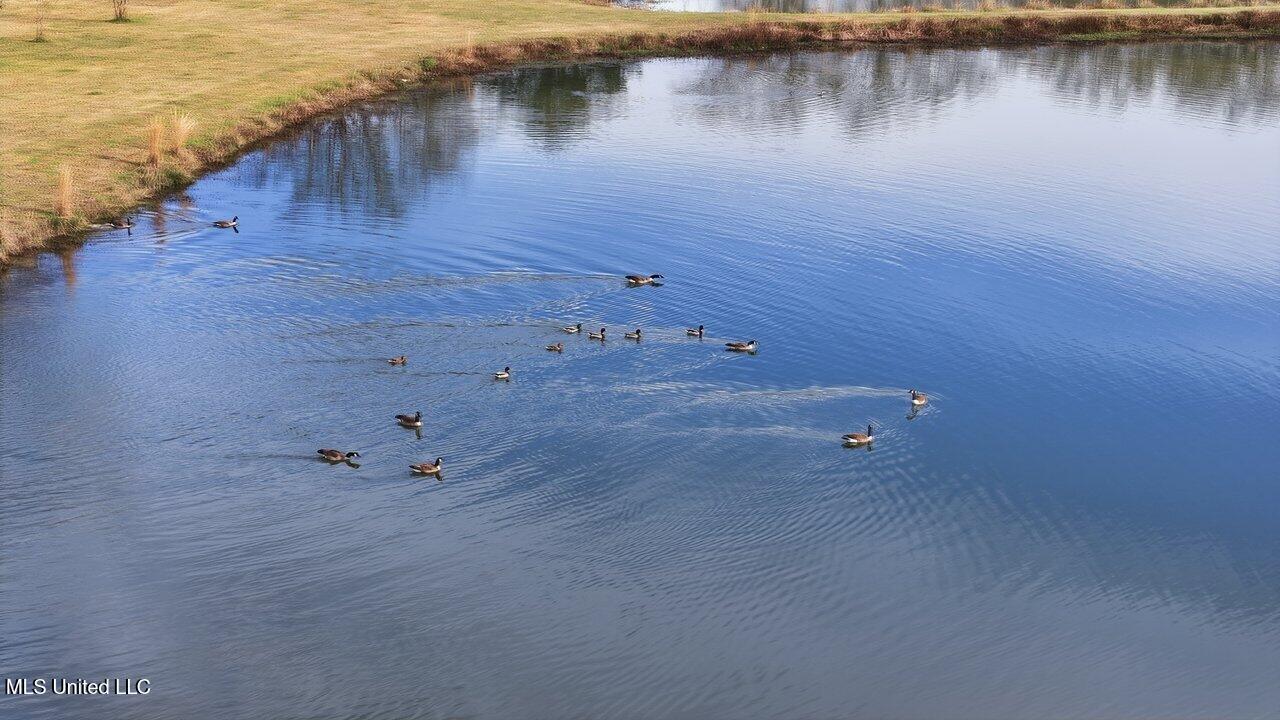 902 E College Street