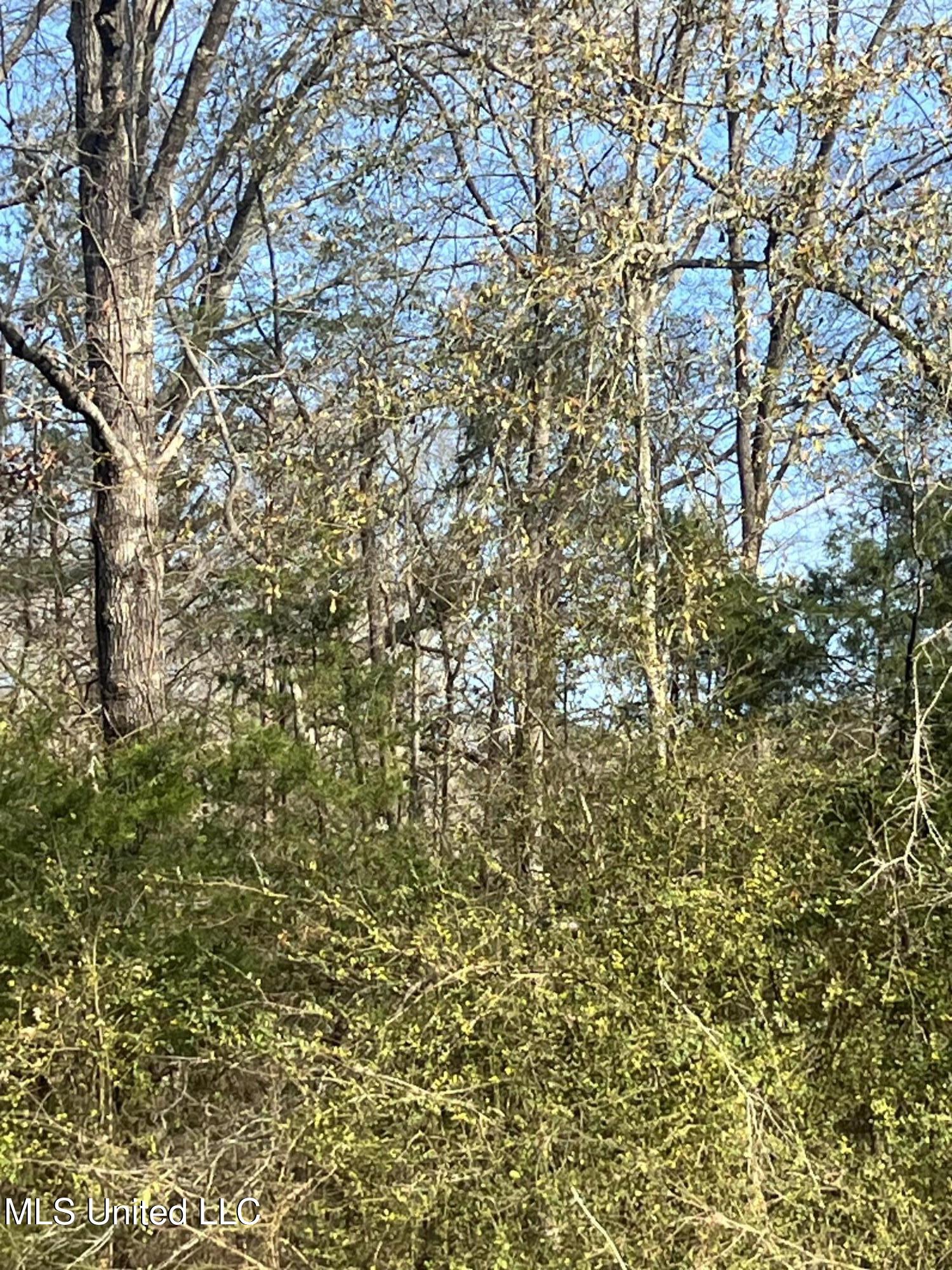 0 Adams Station Road