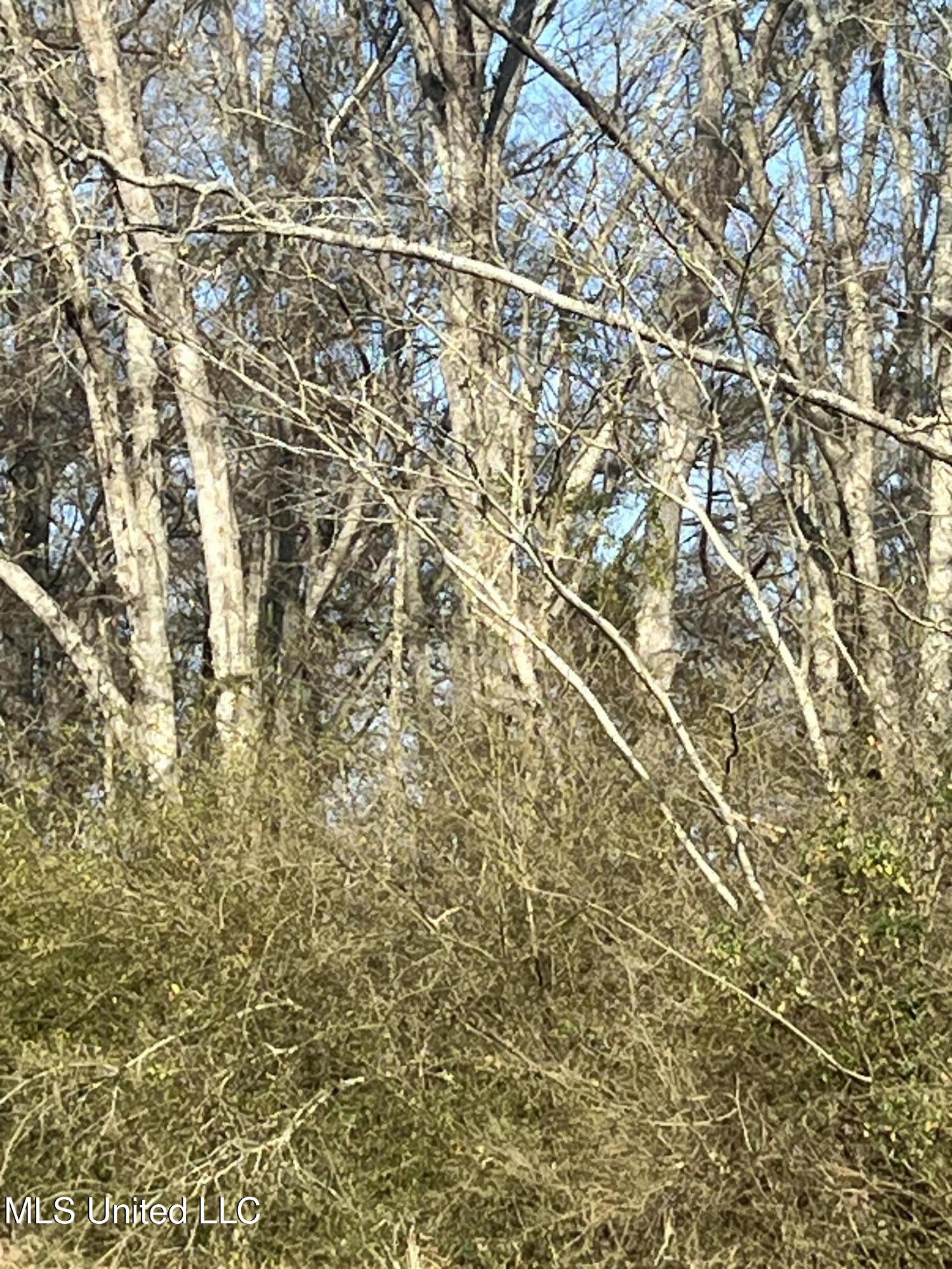 0 Adams Station Road