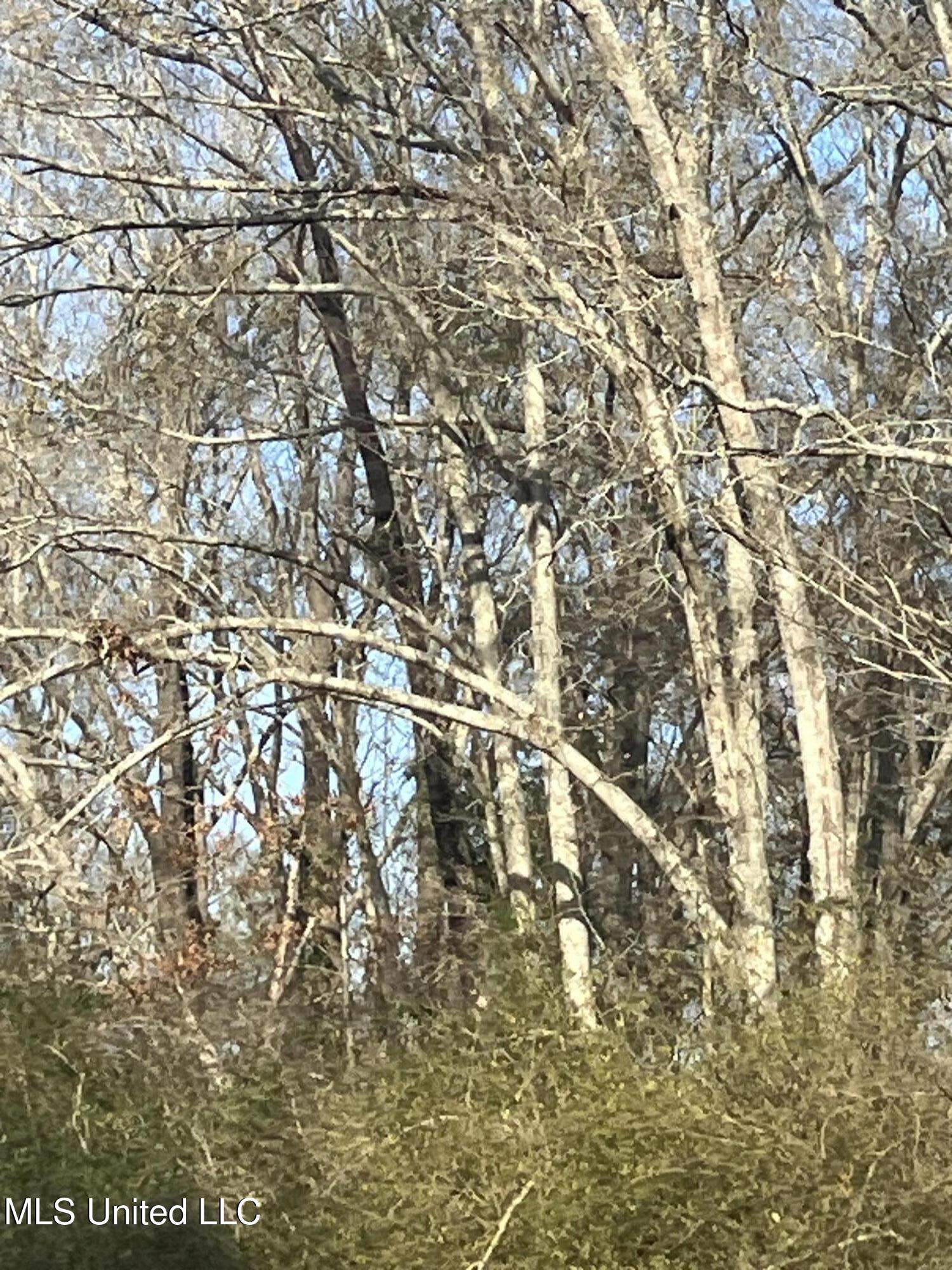 0 Adams Station Road