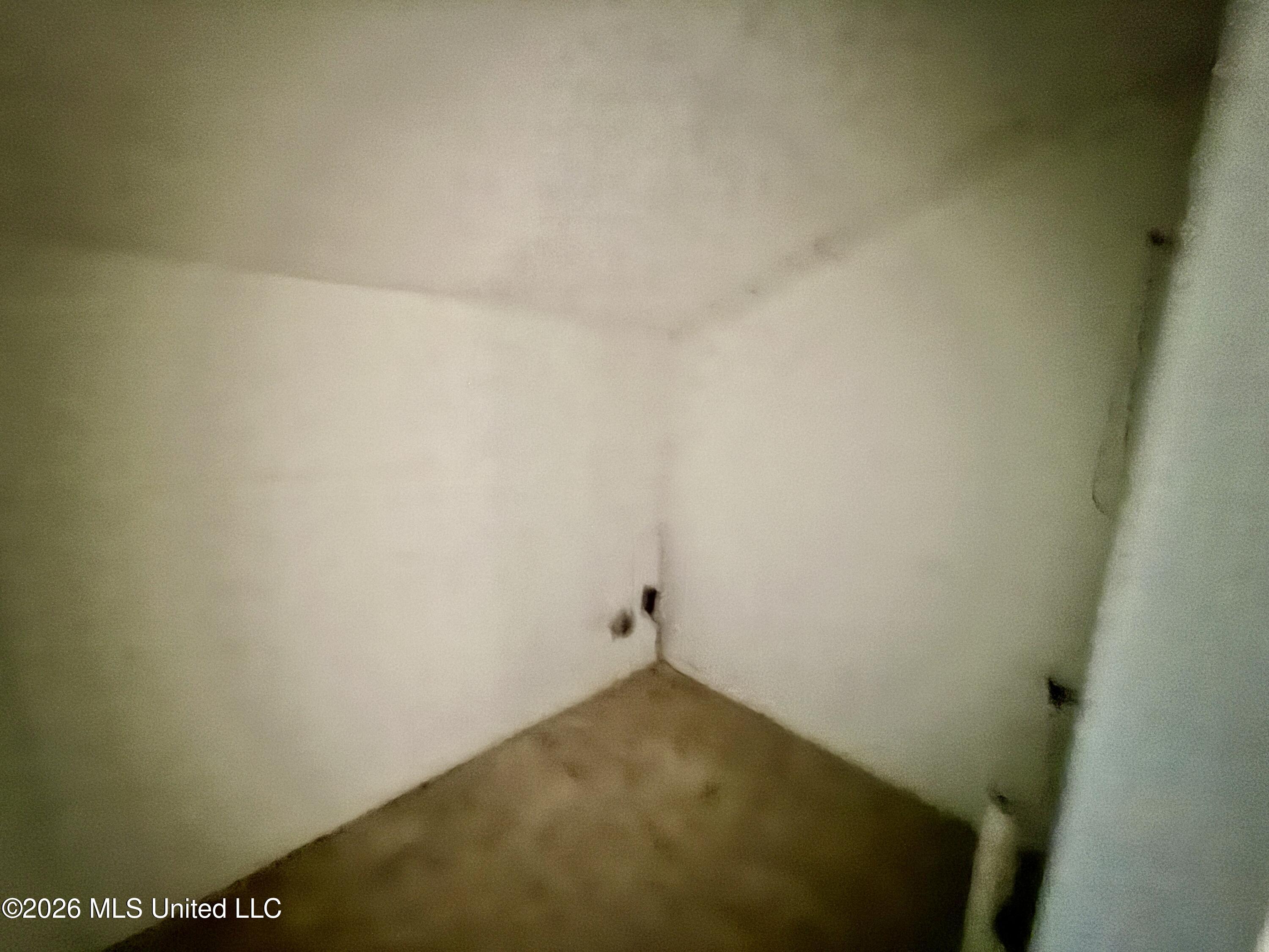 2607 Brookwood Drive