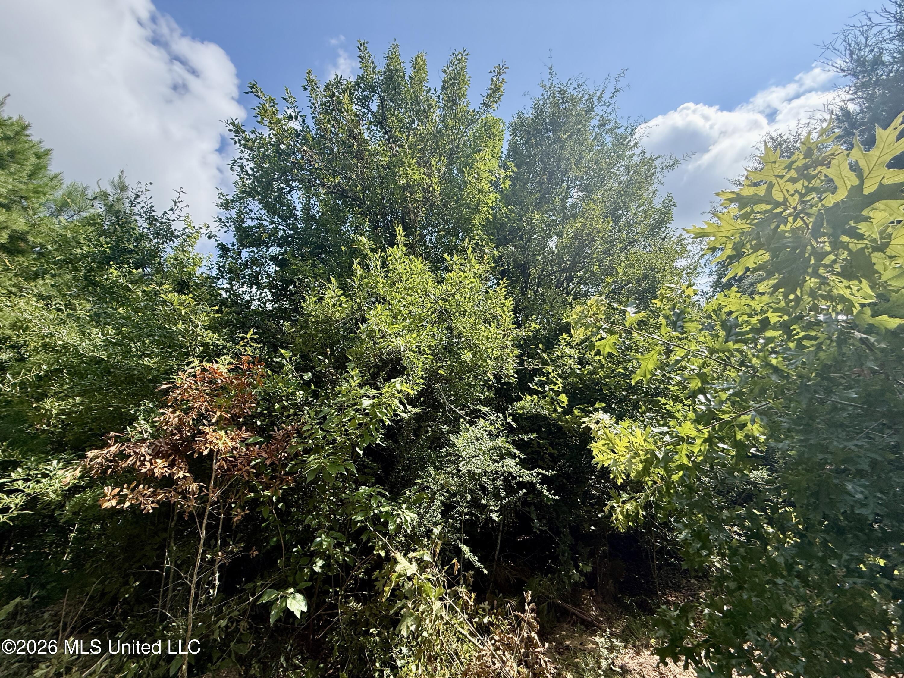 152 Ken Garner Road