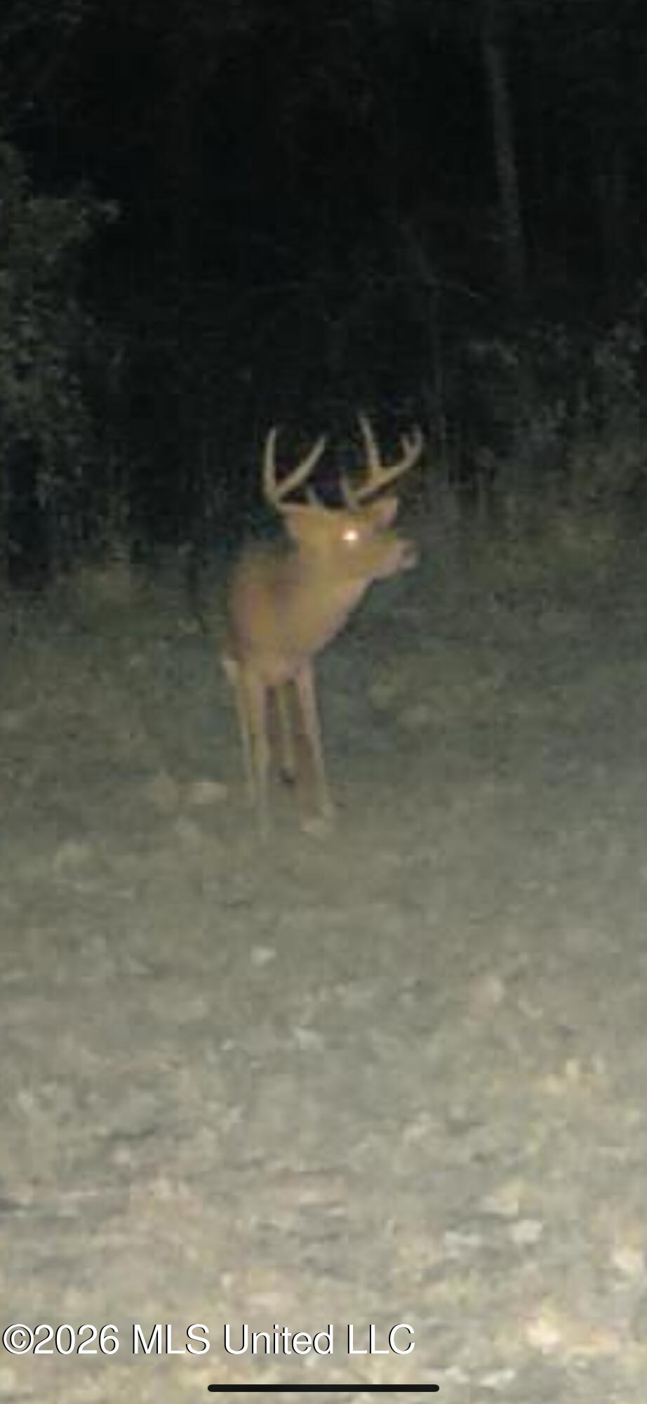 4757 Highway 27
