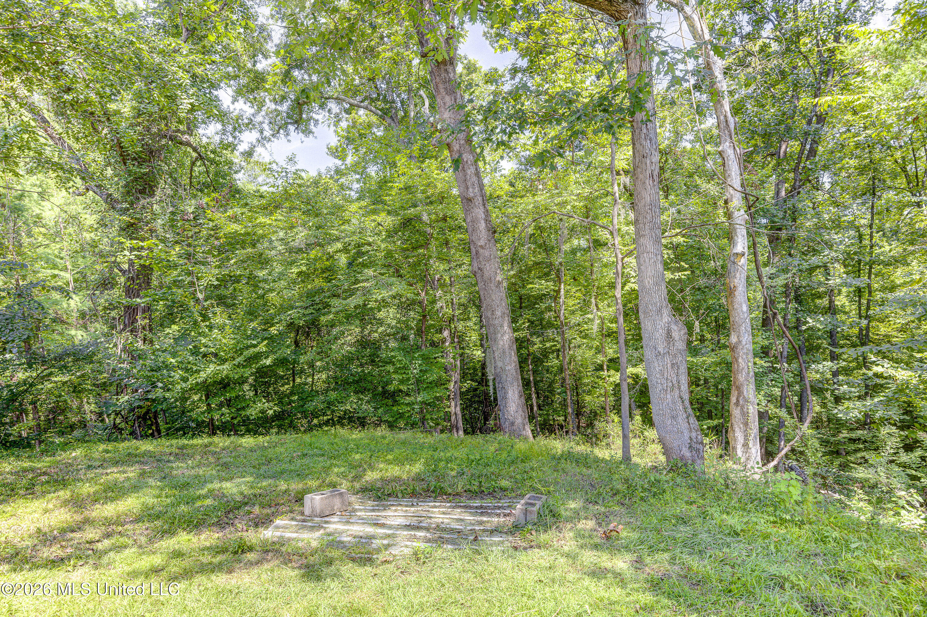 4255 Trotter Road