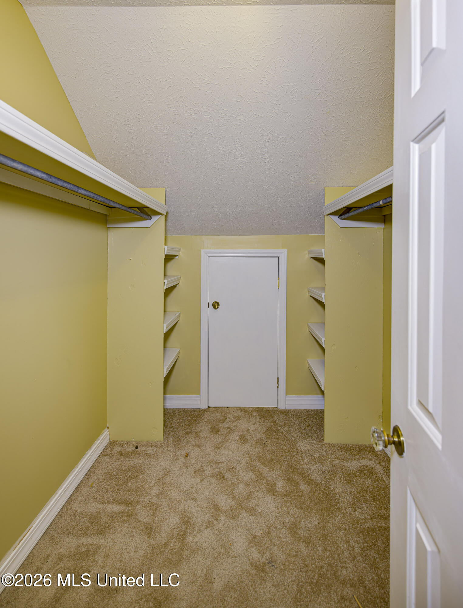 103 Wickstead Drive