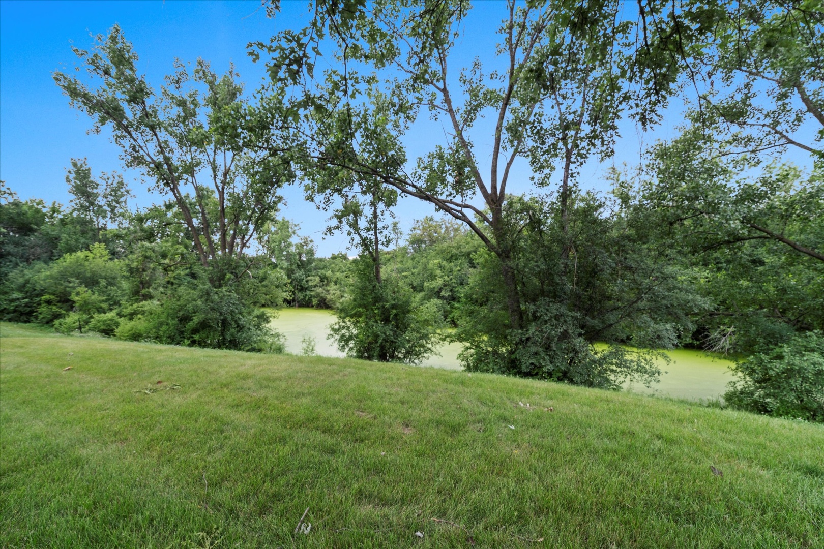 13456 W Red Coat Drive