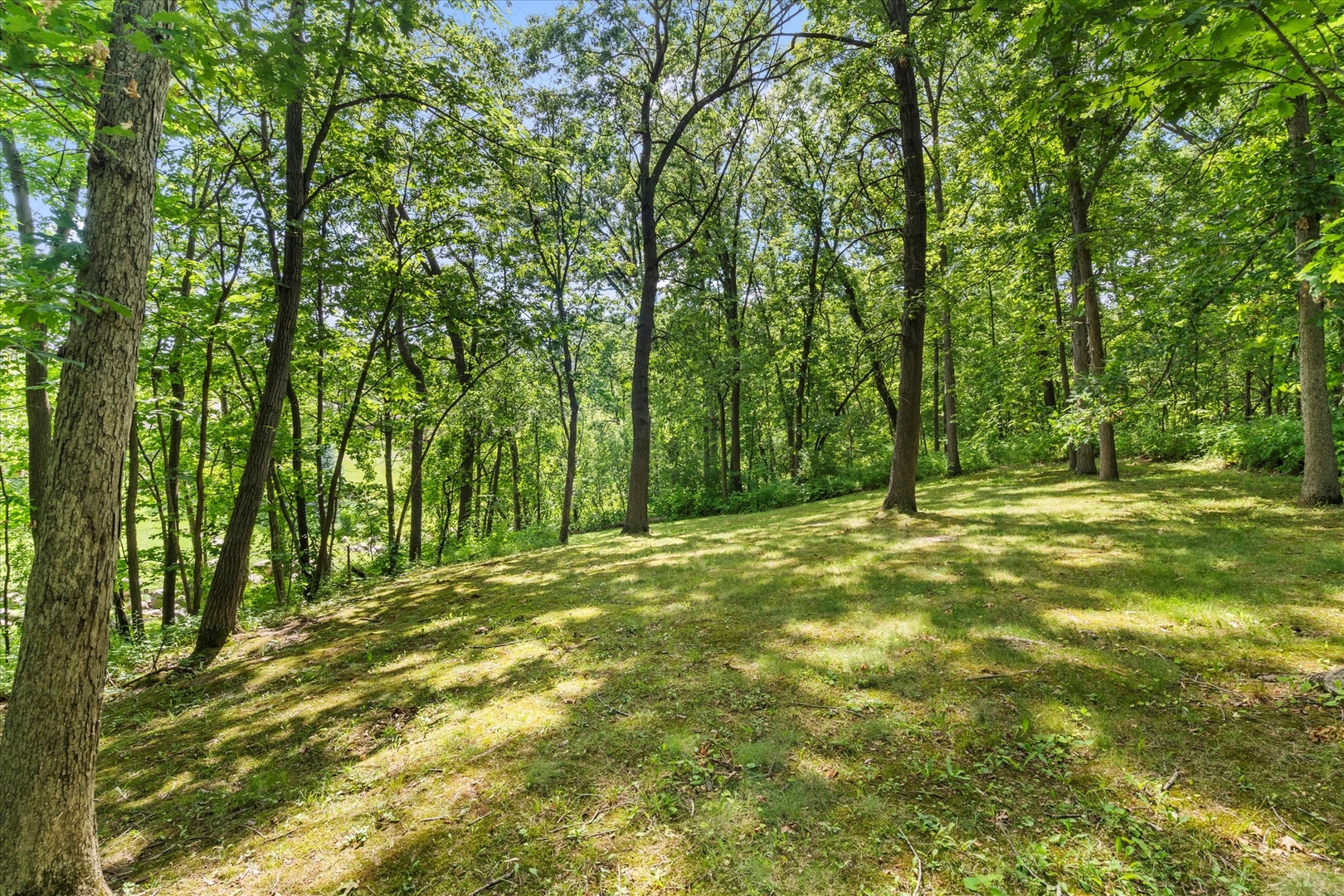 8100 Silver Lake Drive