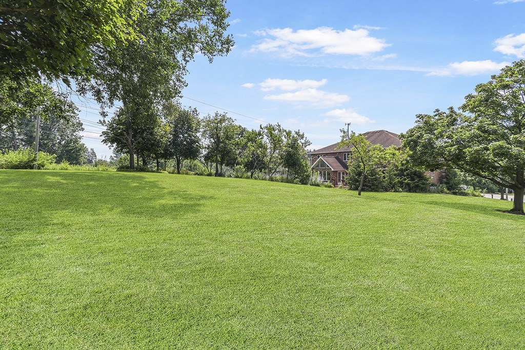 12 Woodland Drive